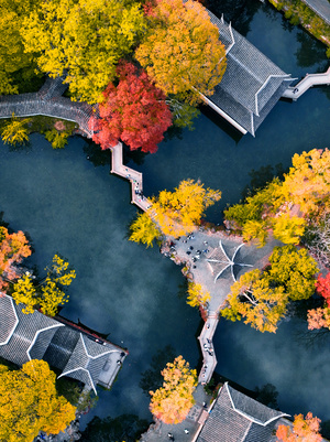 秋日里被树木环绕的房屋 aerial view