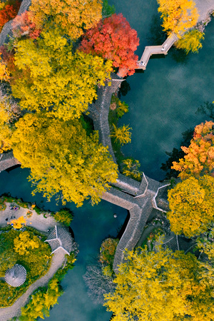 公园被树木环绕 河流和岛屿上有一个桥的空中视图