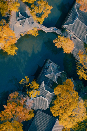 周围环绕着树木和一条河的房子的 aerial view