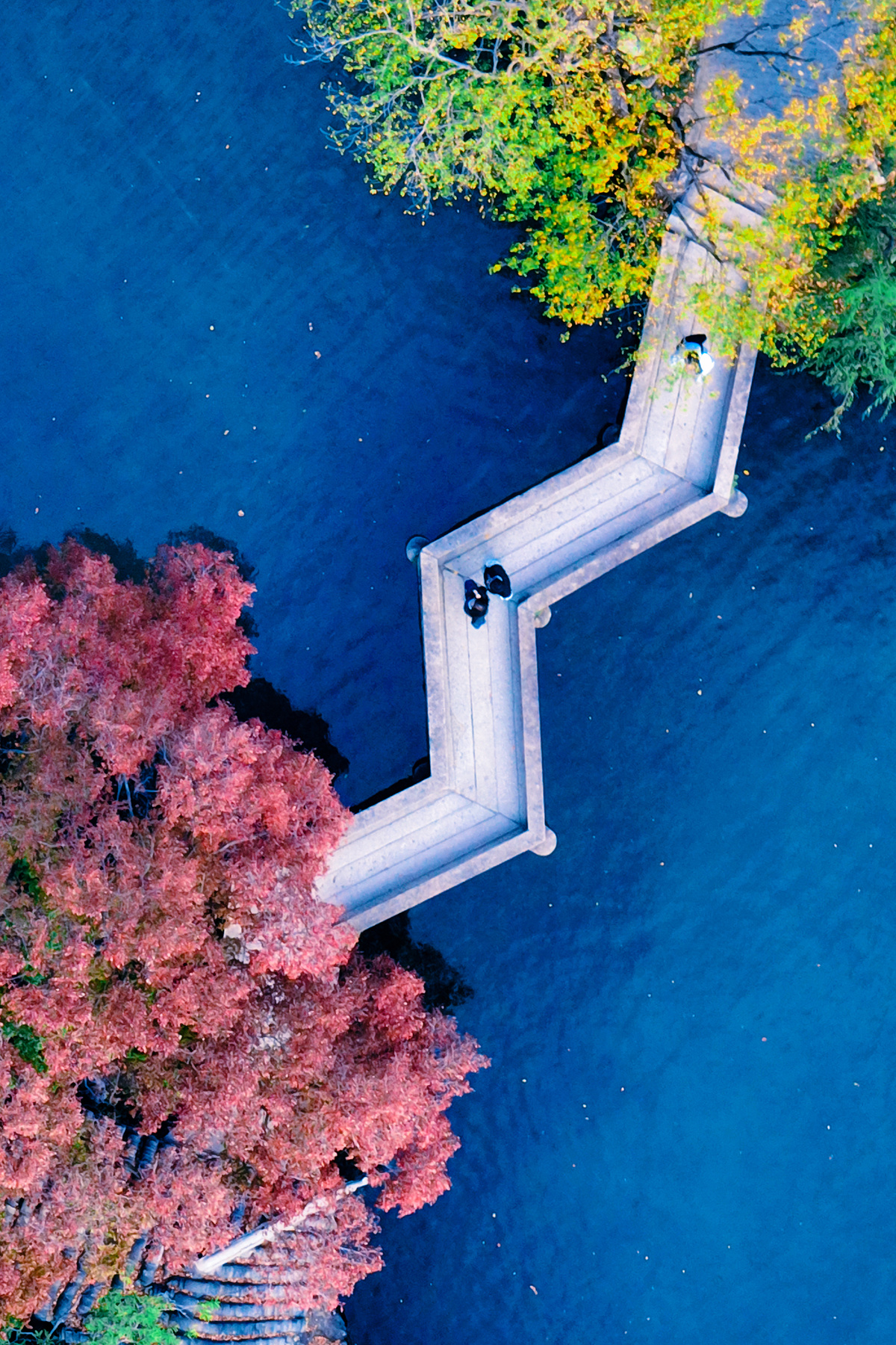 水上红树的 aerial view