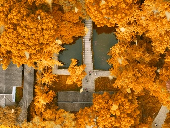 秋天的房屋和树木的空中视角