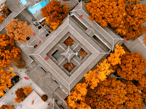 城市中的树木和花卉的 aerial view