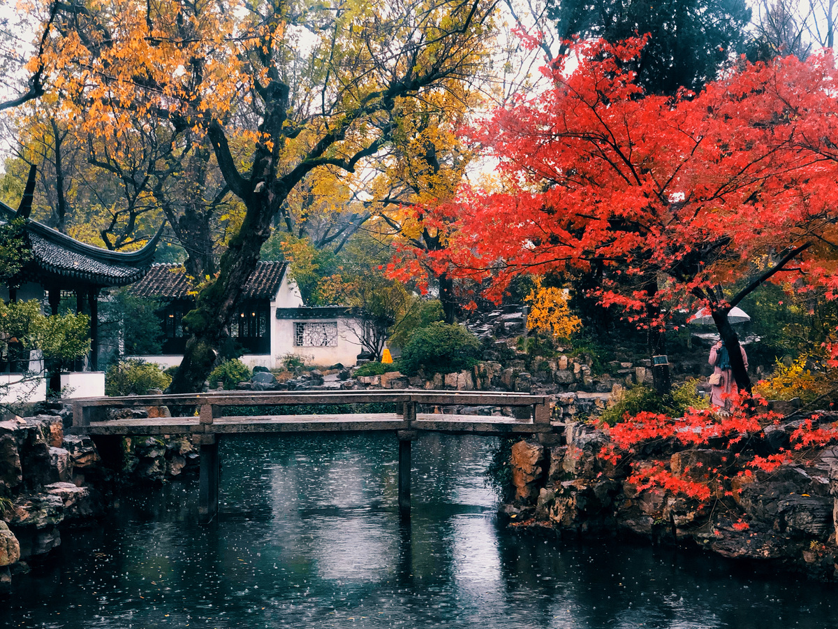 秋天的花园 一座小桥跨过一条小溪流
