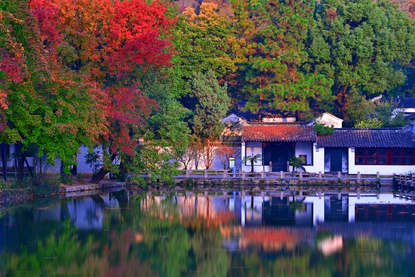 森林中的一小湖或河 秋天时色彩斑斓的树木