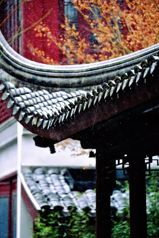 雨中的建筑屋顶