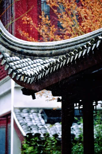 雨中的建筑屋顶