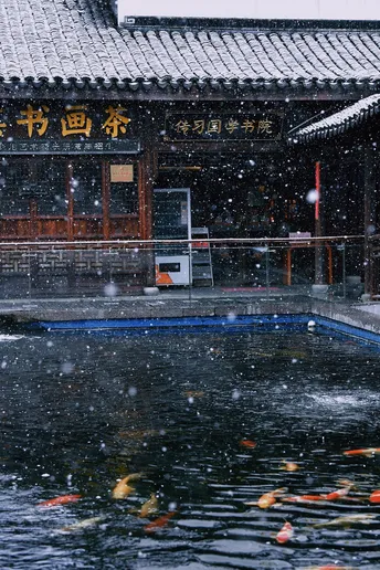 金鱼在寺庙前的池塘里游泳