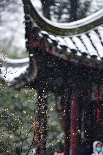 雪落在佛塔上 人们路过 一位女士站在建筑物前。