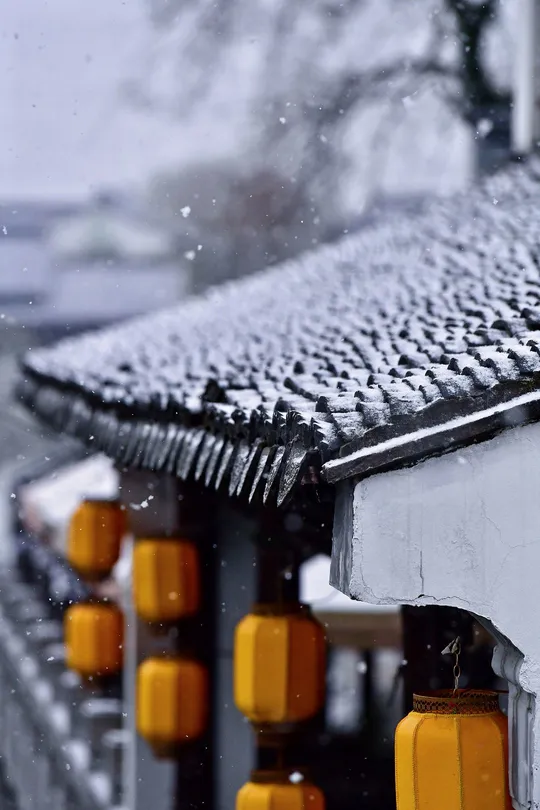 雪覆盖的屋顶建筑