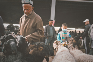 一个戴面具的男子站在一个孩子旁边 周围有一些人正在看动物。