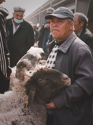 当一个老人抱着一只羊 有人围观时。