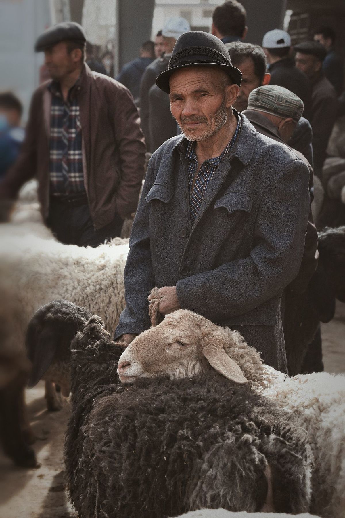 一位老人站在一群羊旁边。