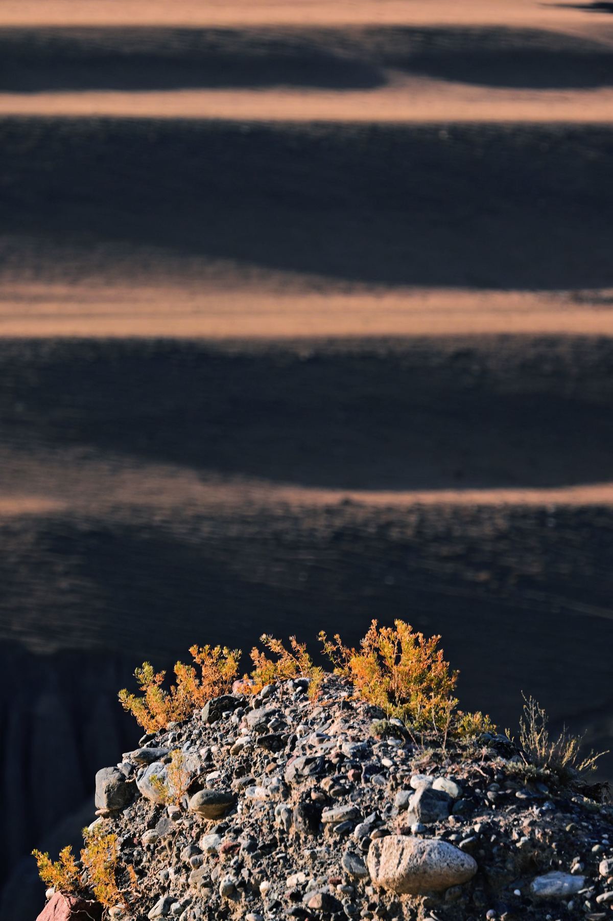 站在山顶上的一名男子手里拿着一株小植物