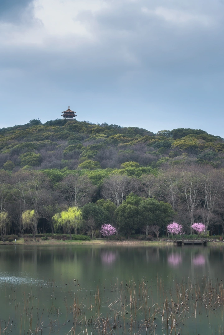 一年春好处，不在浓芳，小艳酥香最娇软 ​