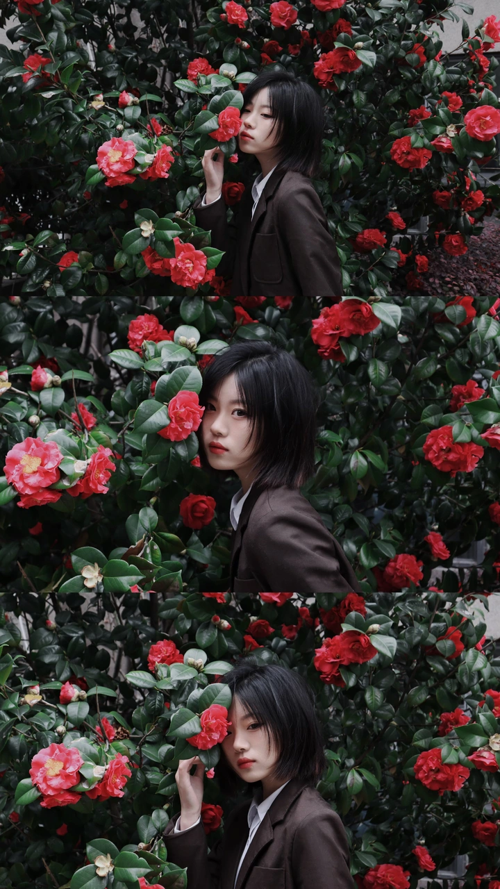 【茶花女】