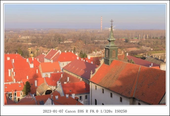 带有红屋顶和钟楼的城镇的图片