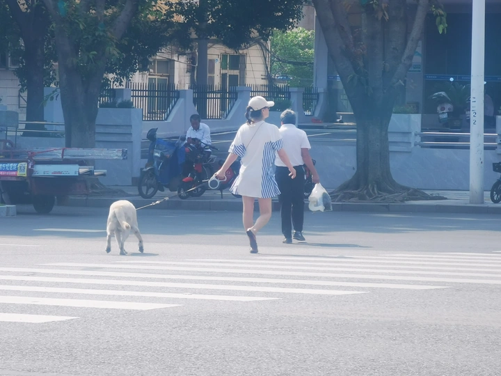 在路上