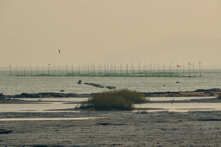九龙江湿地