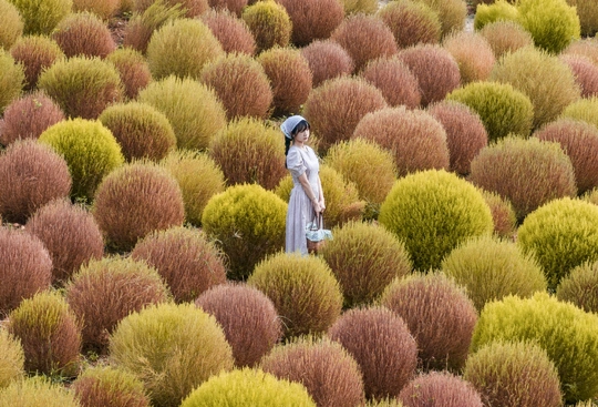 一位站在植物和灌木丛中的女人