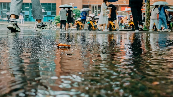 秋雨