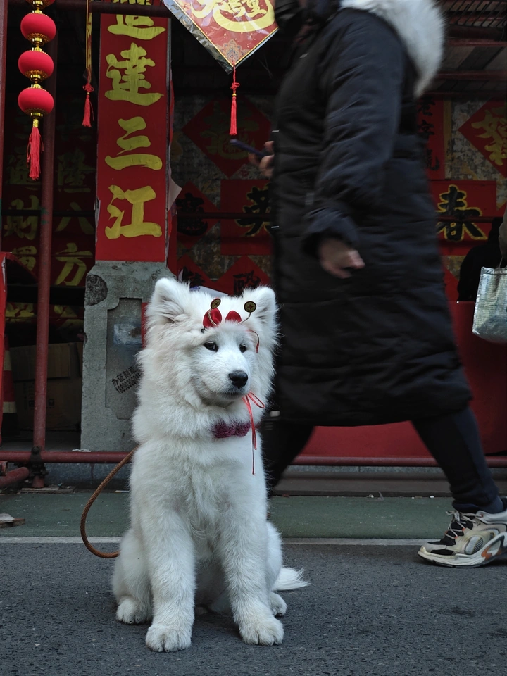 我漂亮吧