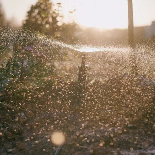 阳光透过喷洒在草地上的洒水器