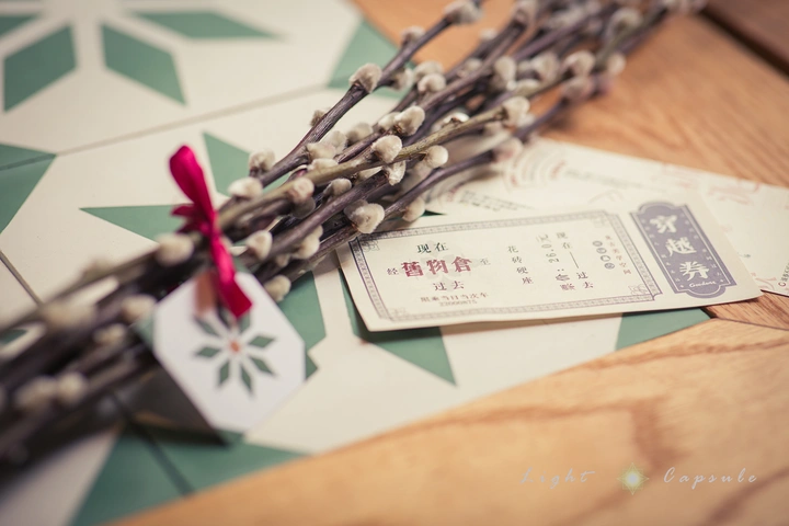 花语系列《银柳》