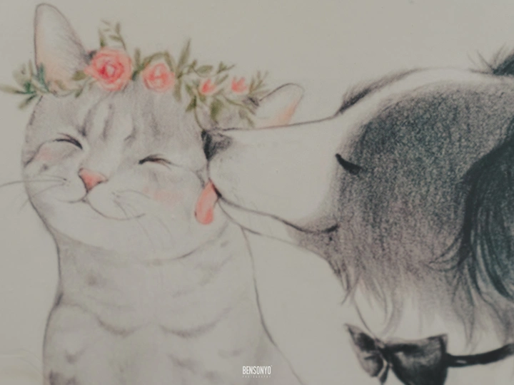 婚礼记录 | 舒婕 & 郑午 （下）
