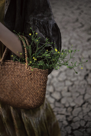一个人拿着一个棕色的袋子和一株开着黄色花朵的植物