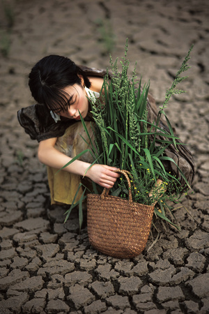 一个年轻的女人拿着一个篮子 篮子里长着一株植物