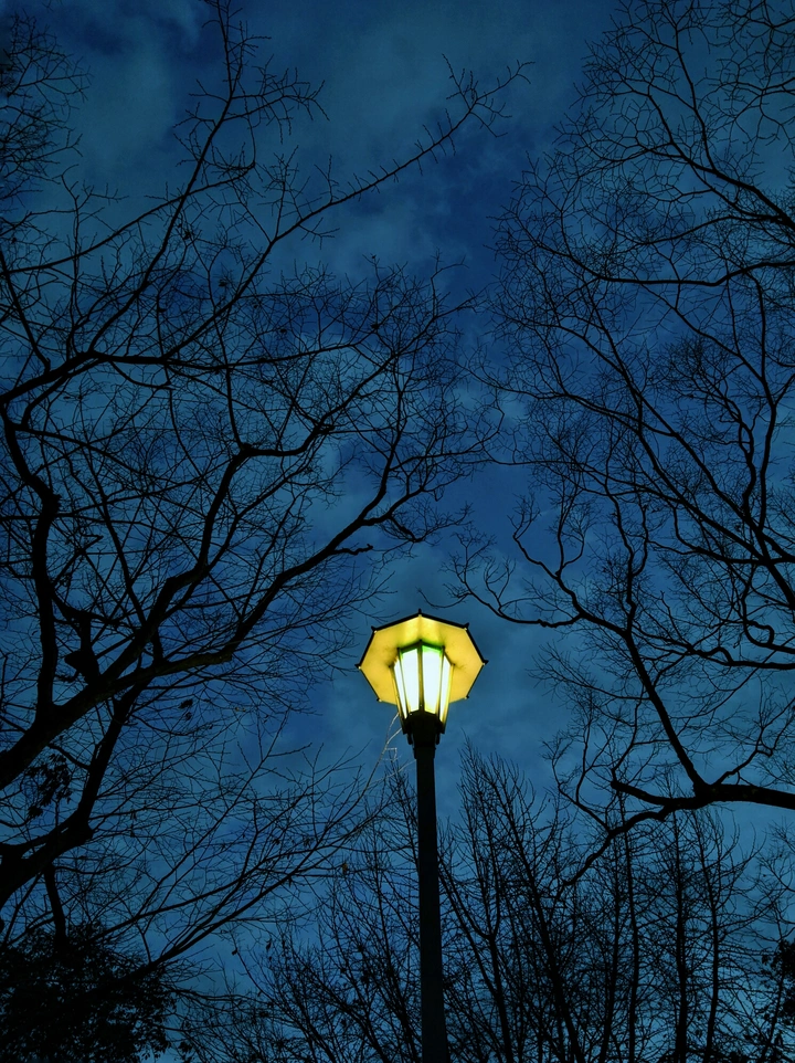 夜灯