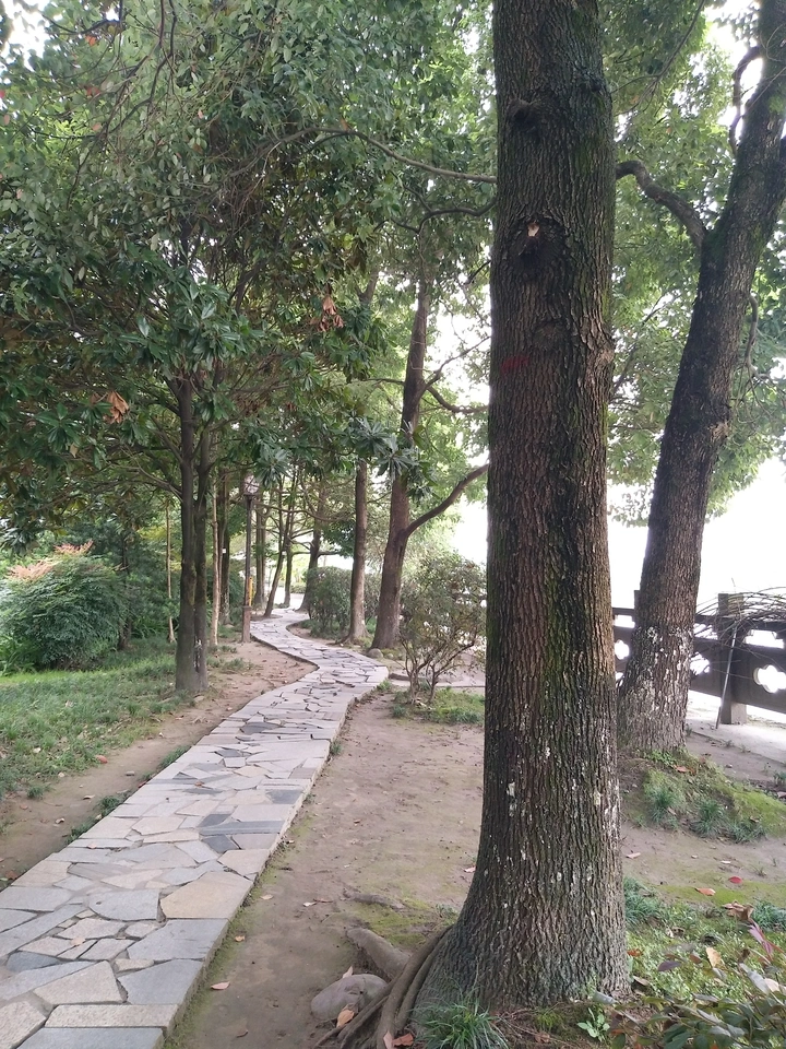 路