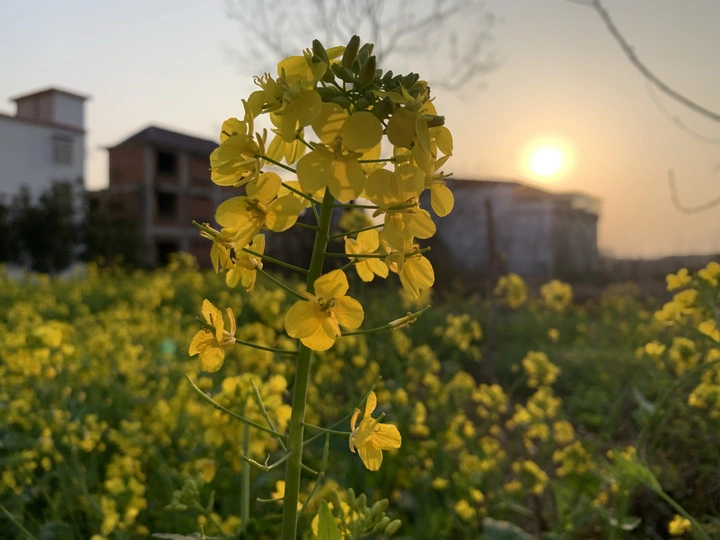 时间走散了故人