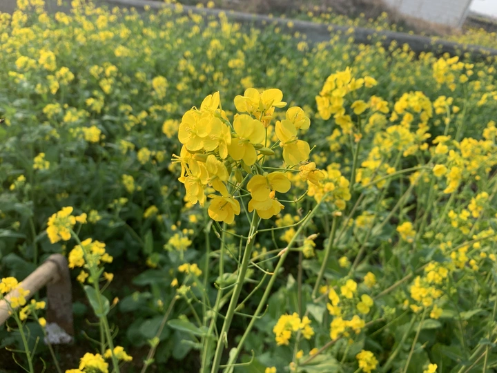 时间走散了故人