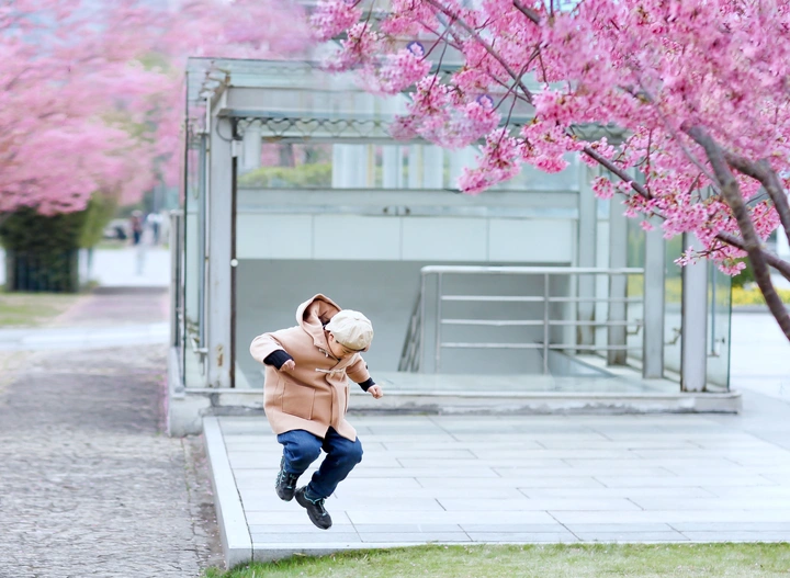 猛男樱花季