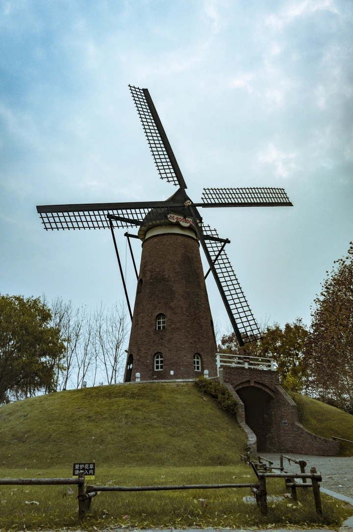 🇳🇱荷兰园
摄于南京绿博园