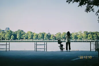 一位推着婴儿车的女人正在公园的长椅和水体上眺望。