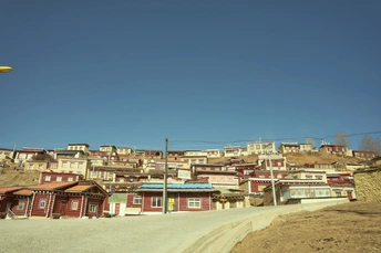 一个黄色飞盘正向一个在尘土路上跳起来的人飞去 这个人位于城镇前面的房子前。