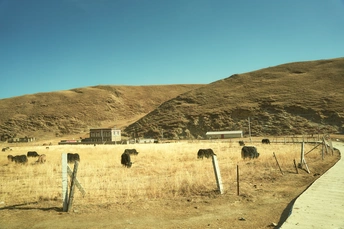 一片干草地上的一条泥土路 前景有围栏 背景有山丘和山脉。