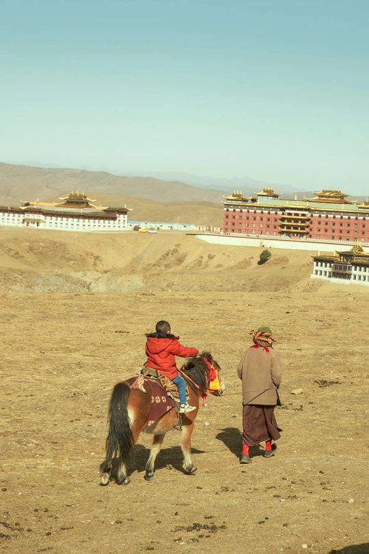 几个人在一个泥泞的场地上骑马 前景有一个男孩在走。