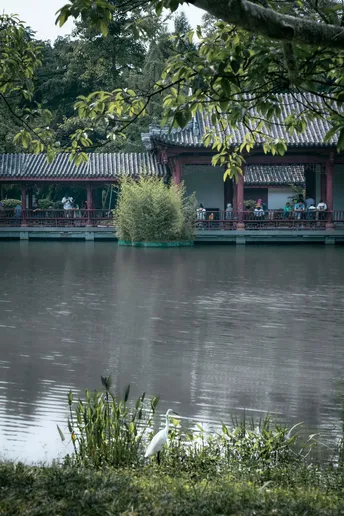 湖边有一座凉亭和树 有一只白天鹅在水里。