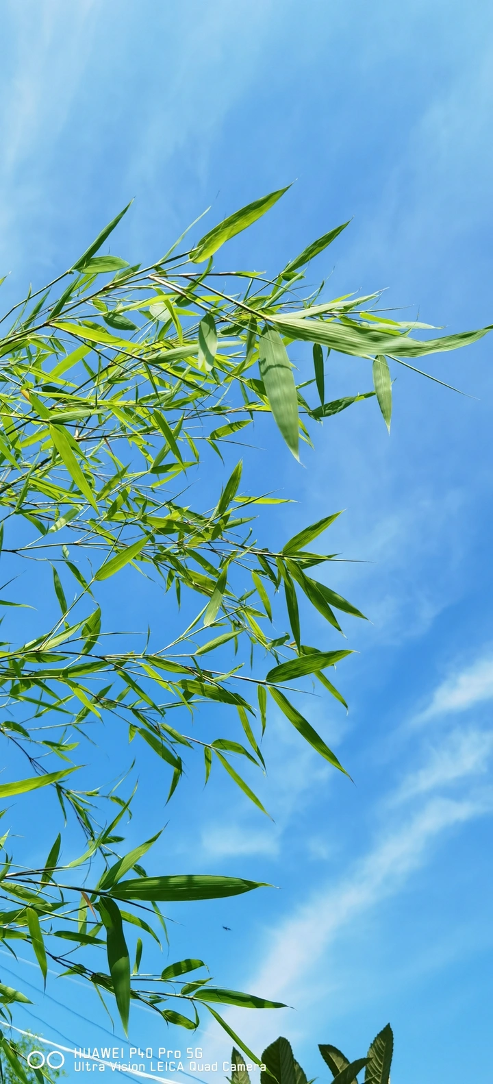 夏天来了