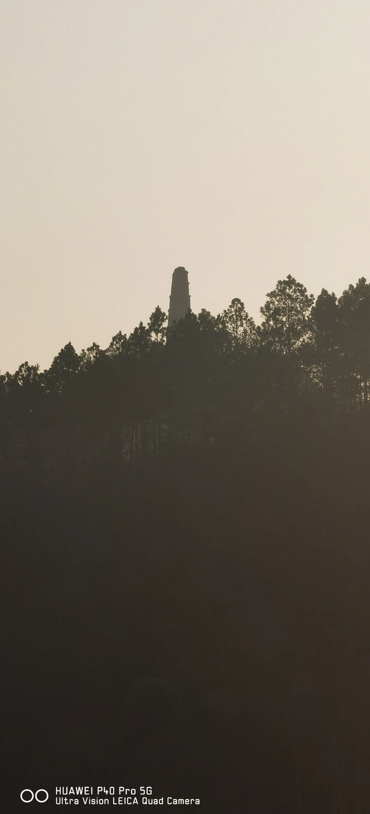 早上的风景
