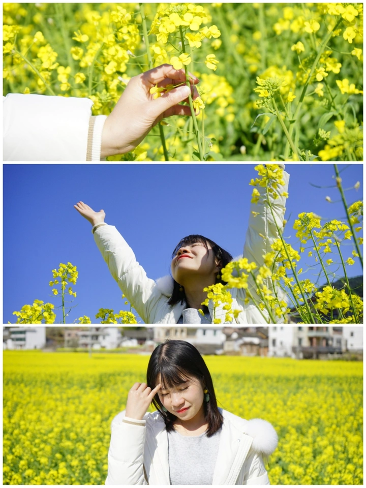 花海与美少女