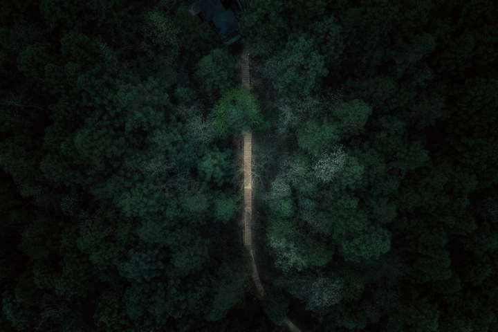 林间小路