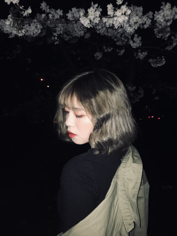 夜•南樱