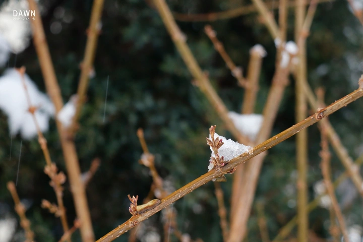 雪