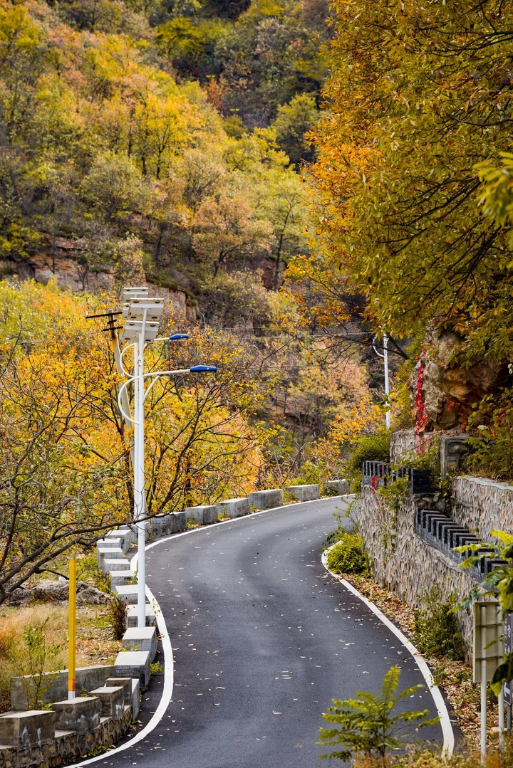 秋の路