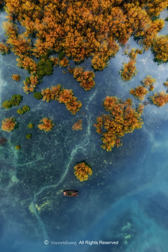 湖上小船的 aerial view 蓝色水域和树木