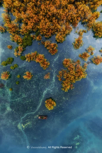 湖上小船的 aerial view 蓝色水域和树木